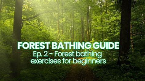 Forest Bathing Guide Training