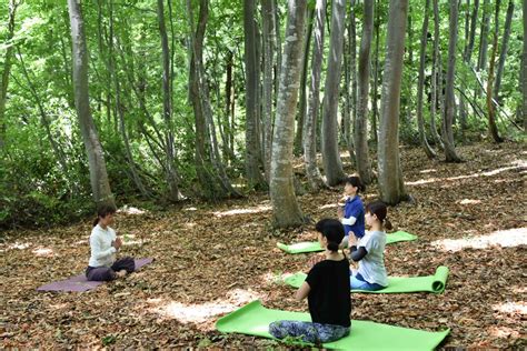 森林浴をしている人々