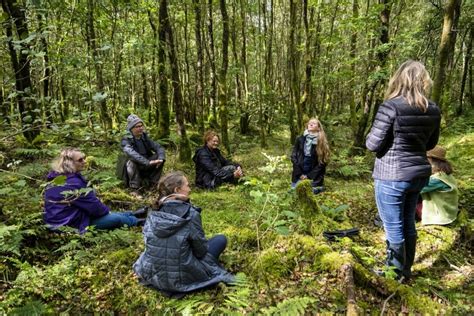 forest bathing therapy
