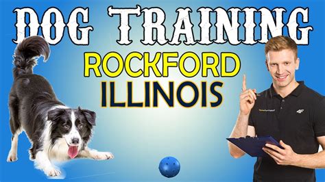 forest city dog training club rockford il