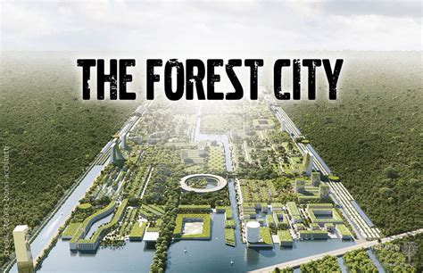 forest city social network