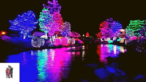 forest creek christmas lights