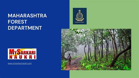 forest department maharashtra tenders