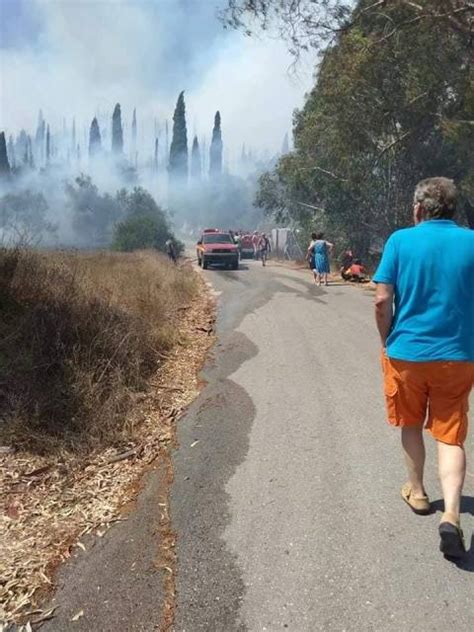 forest fires in corfu