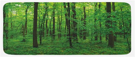 Forest Green Kitchen Mat