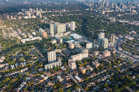 forest hill group toronto