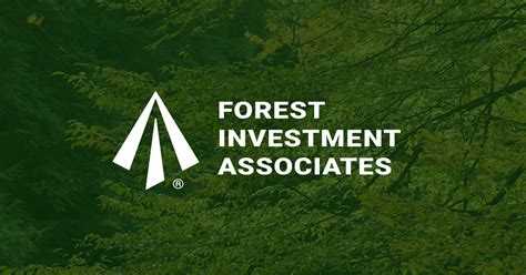 forest investment associates lp