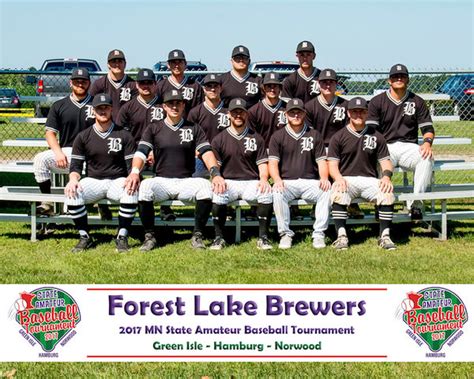 forest lake brewers baseball