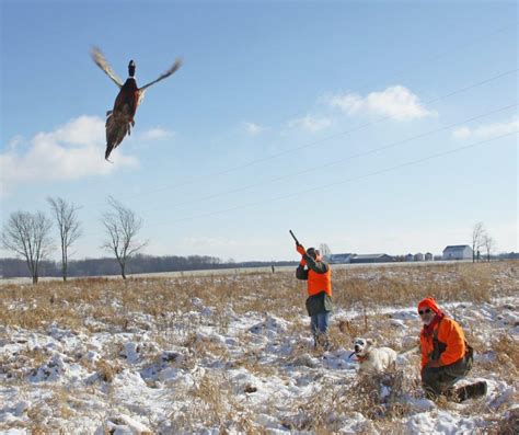 forest lake hunting club