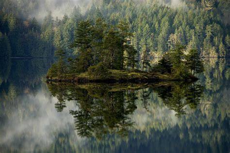 Forest Lake
