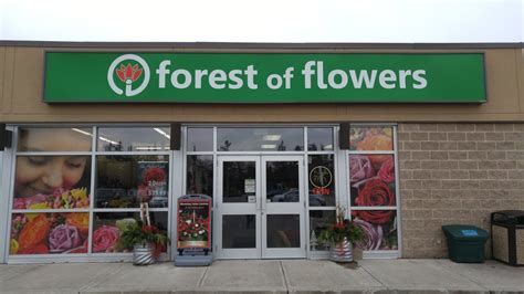 forest of flowers toronto