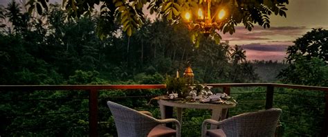 Unveil Gastronomic Delights in Forest Park: A Dining Experience You Won't Forget