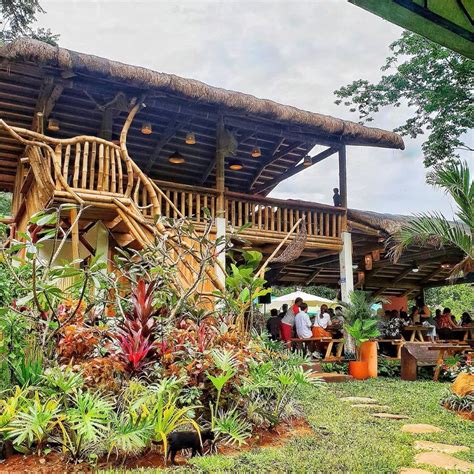 Discover the Hidden Gems: Top Forest Park Restaurants for a Gourmet Experience