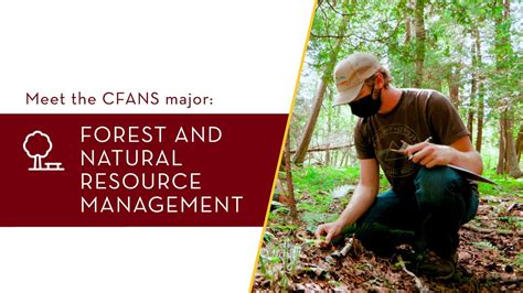 forest resources management inc