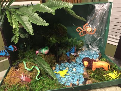 forest shoebox project