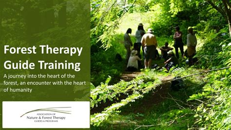 forest therapy guide salary