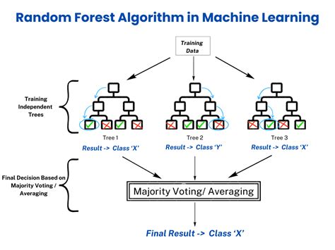 Forest Trees Machine Learning