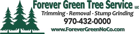 Forever Tree Service