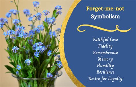 forget me not day 2024