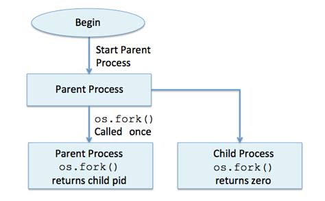 Fork Process In Os