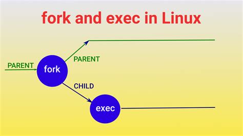 Fork Process In Shell