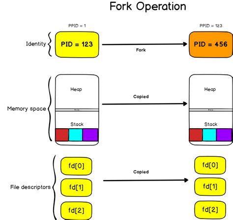 Fork Process Linux