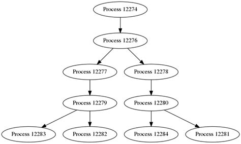Fork Process Stack