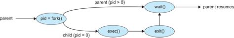 Fork Process State