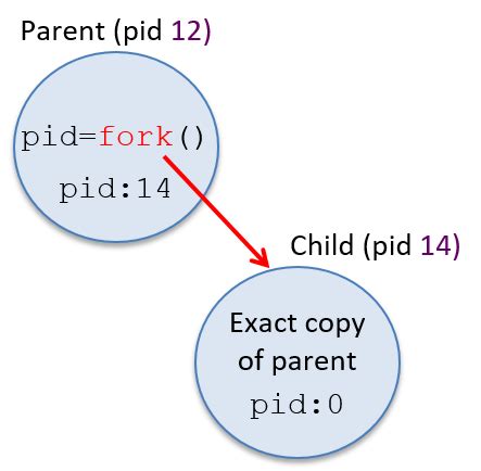 Fork Return In Child Process