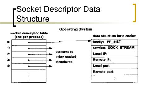 Fork Socket File Descriptor