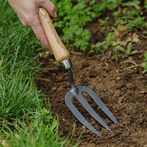 Fork Uses And Functions