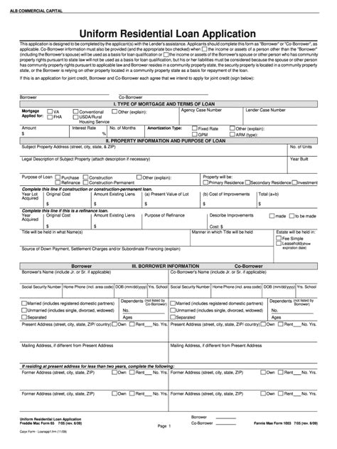 form 1003 pdf