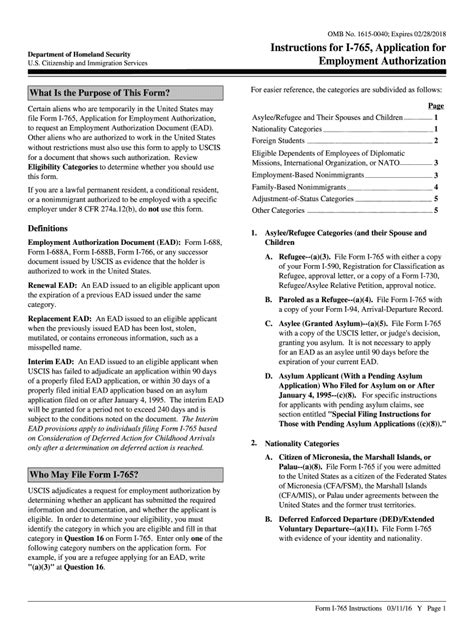 form i 765 pdf instruction