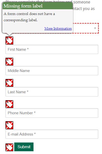 Form Label Accessibility