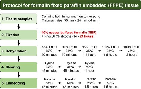 Formalin Fixation Paraffin-Embedded Tissue