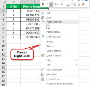Format Phone Numbers in Excel