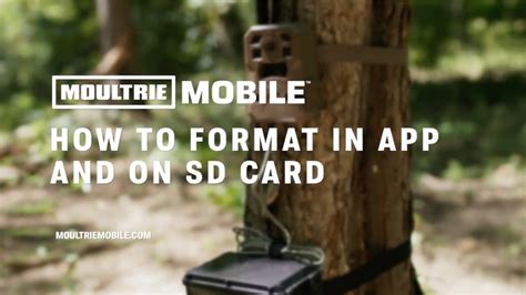 Format Sd Card Moultrie Camera