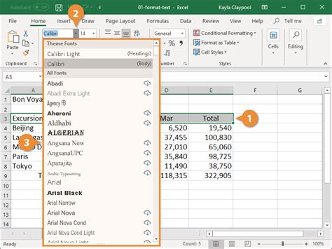 5 Excel Format Tips
