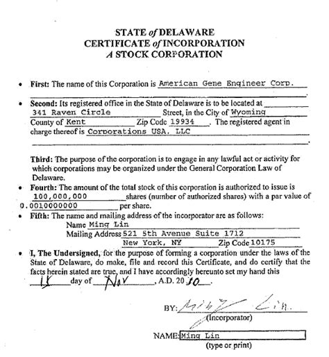 formation of corporation in delaware example