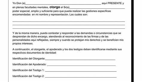 Top 88+ imagen carta poder simple modelo para tramites