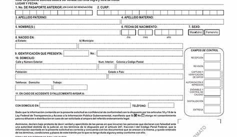 Solicitud De Pasaporte - El formulario se puede rellenar en línea
