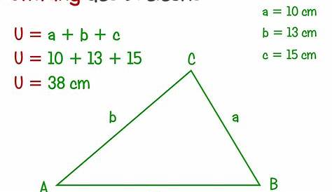 Der Flächeninhalt und Umfang des Dreiecks