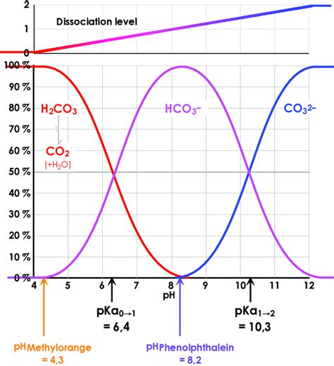 forms from the dissociation of carbonic acid