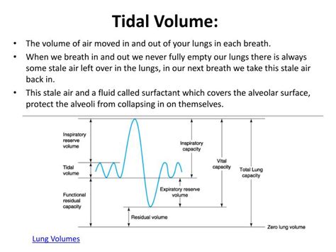 formula for tidal volume