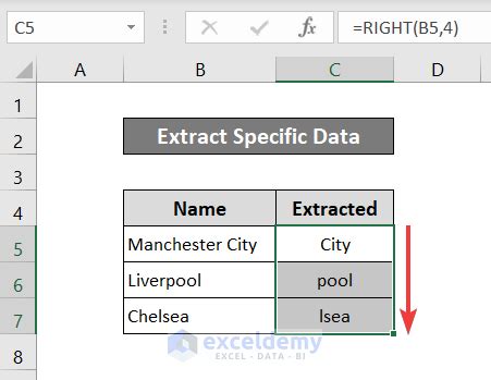 formula to extract data from a cell