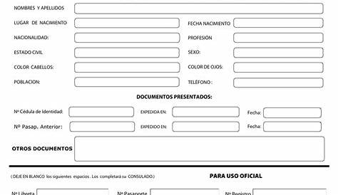 Formato De Solicitud De Pasaporte - Fill Out and Sign Printable PDF