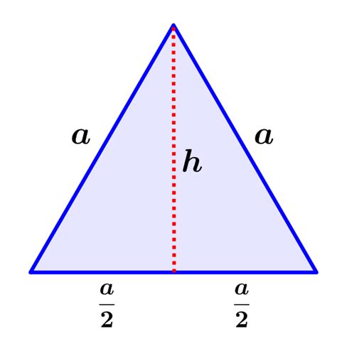 Reducción Perder Perenne triangulo equilatero calcular area tetraedro