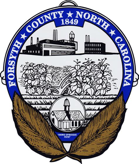 Unlock Your Dream Job: Explore Top Forsyth County Careers and Find Your Perfect Fit