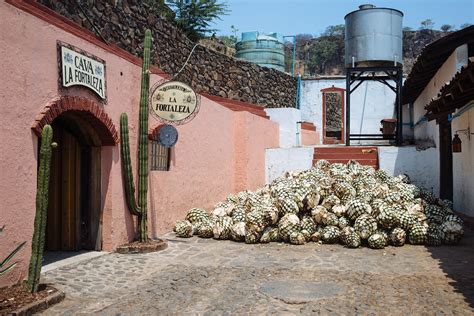 fortaleza tequila distillery tour