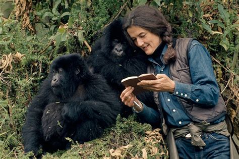 fossey